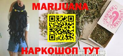 гашик Шебекино