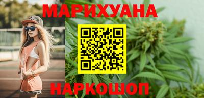 сатива Шахты