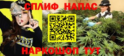 сатива Шахты