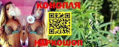 гашик Шебекино