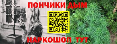 гашик Шебекино